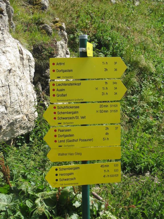 Bergparadies - Inklusive Eintritt In Die Alpentherme Dorfgastein Luaran gambar