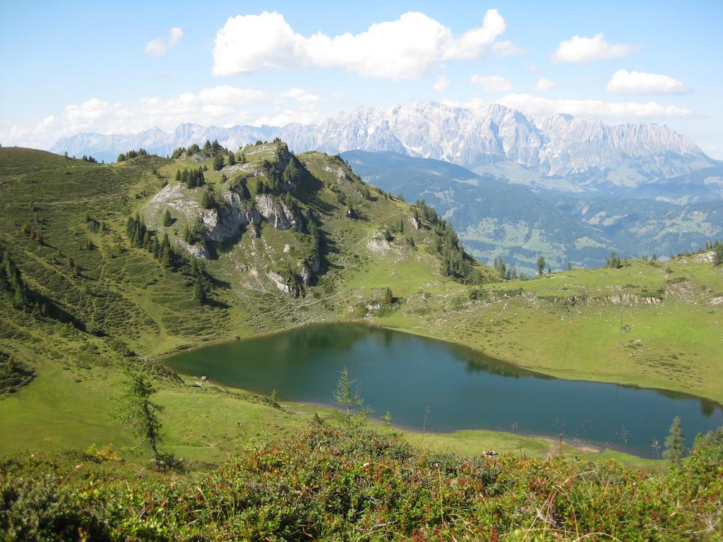 Bergparadies - Inklusive Eintritt In Die Alpentherme Dorfgastein Luaran gambar