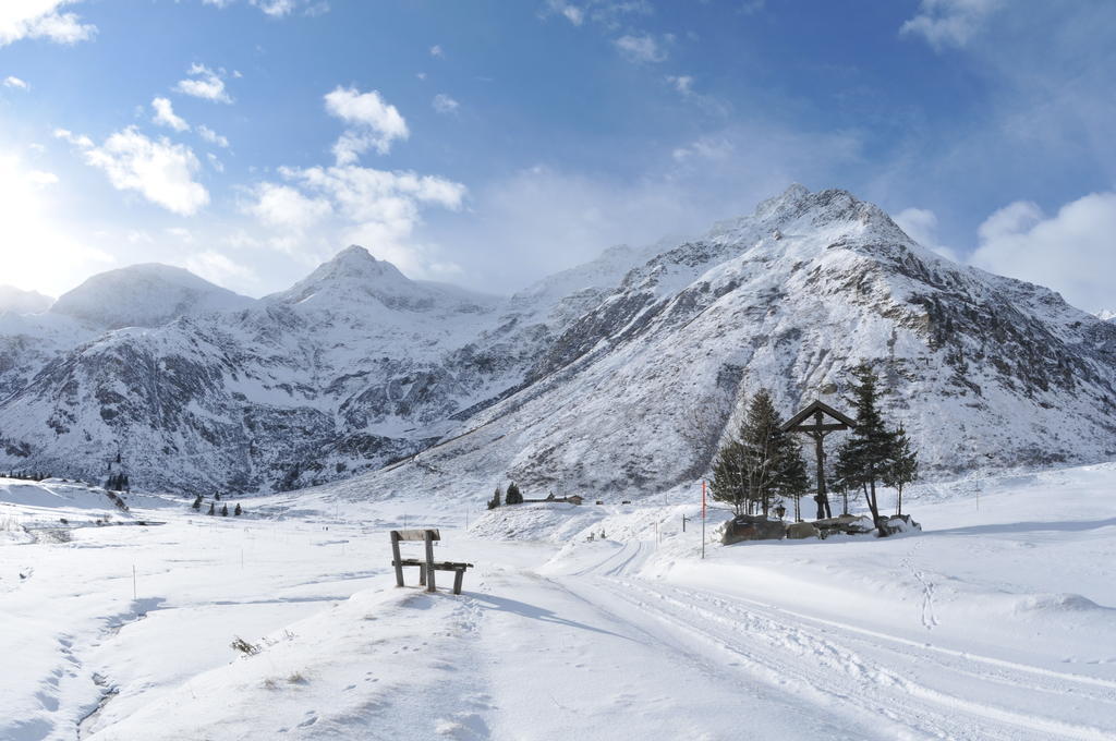 Bergparadies - Inklusive Eintritt In Die Alpentherme Dorfgastein Luaran gambar